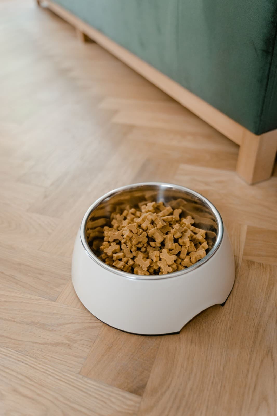A bowl of pet food kibble on a wooden floor