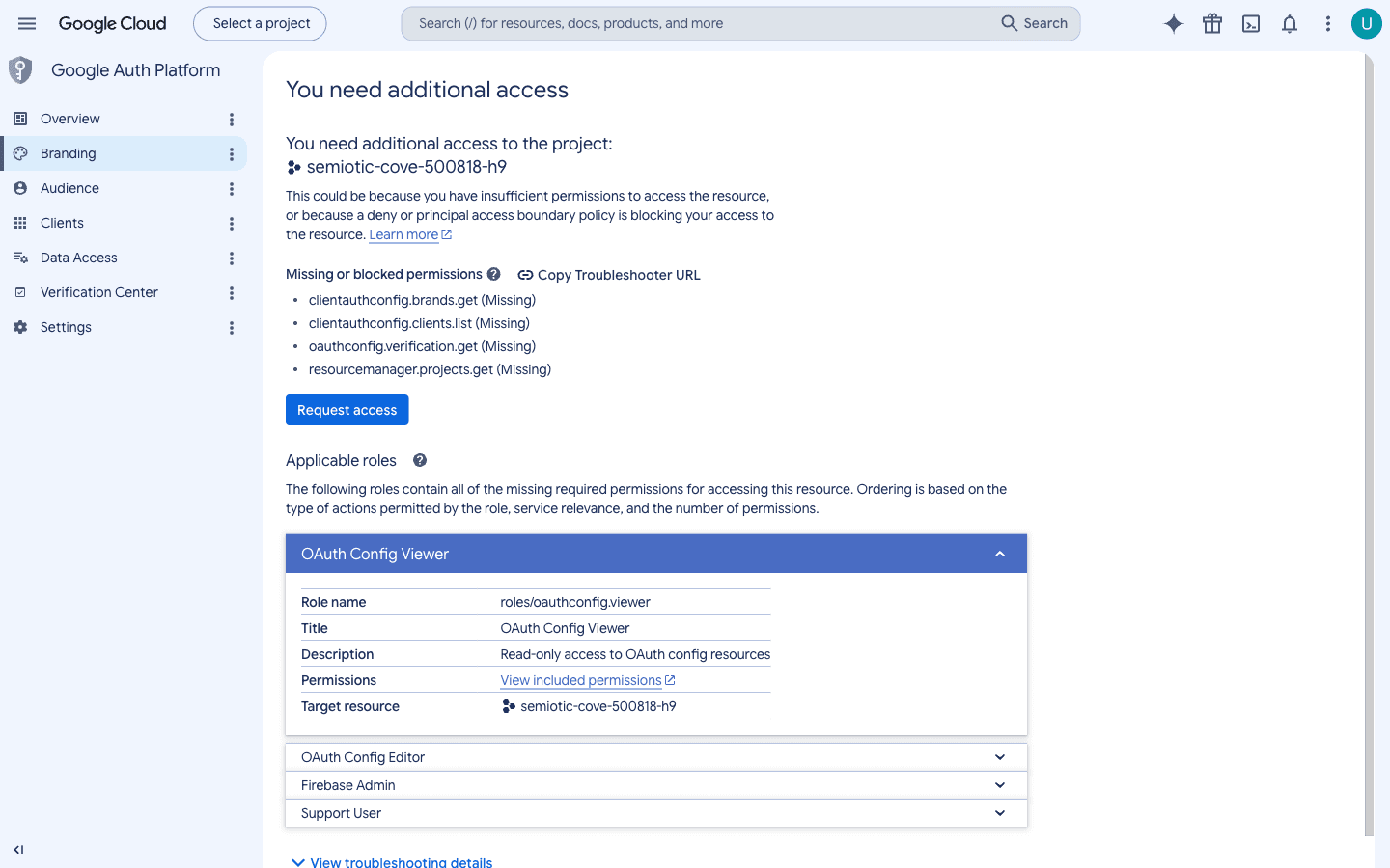 App information and branding form in Google Auth Platform