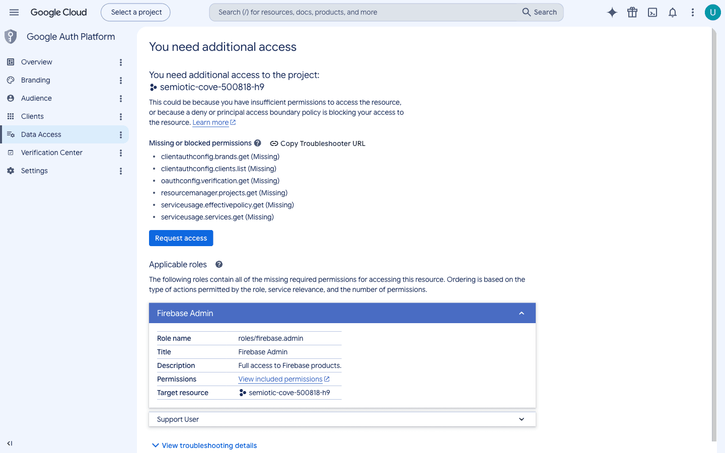 Data Access page showing Gmail scopes