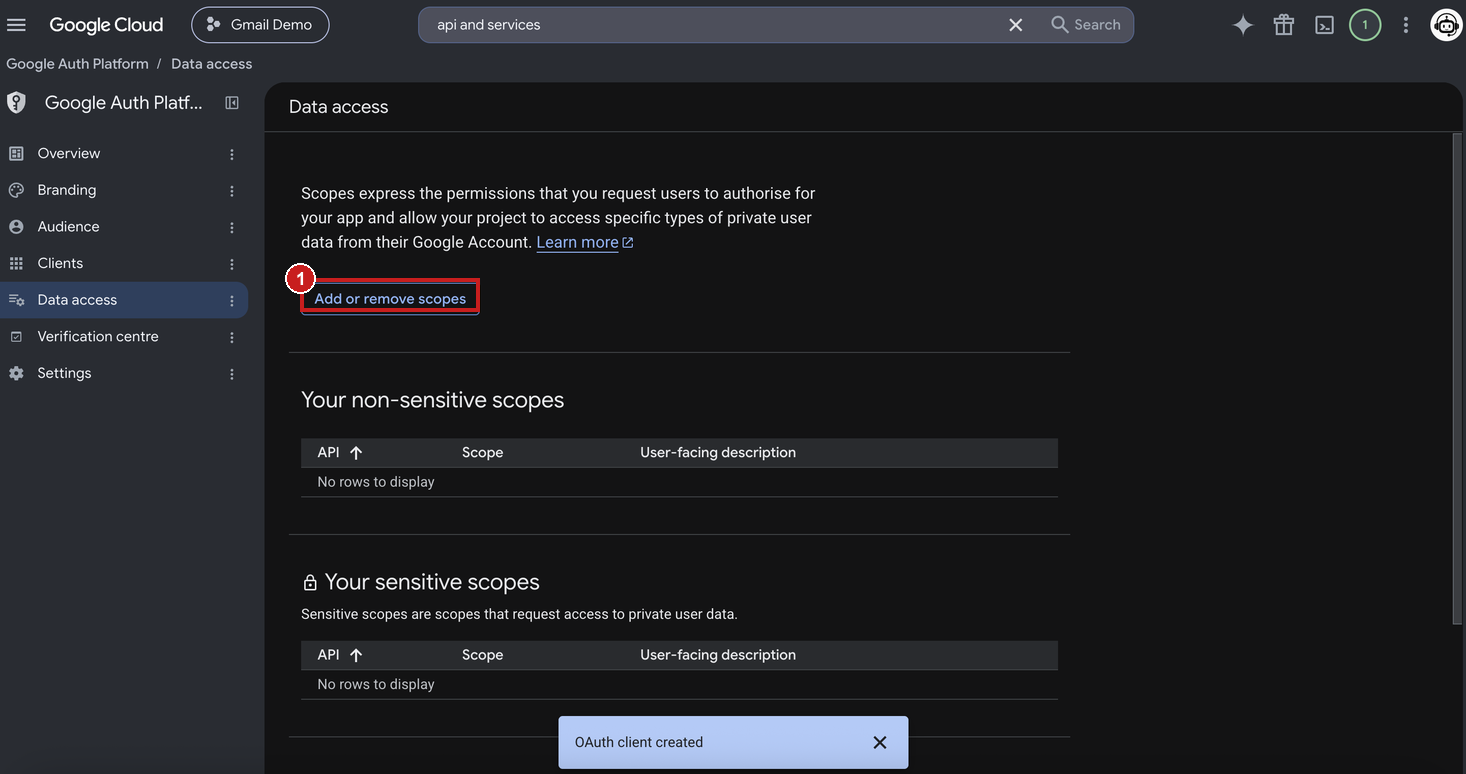 Data access page with the Add or remove scopes button highlighted
